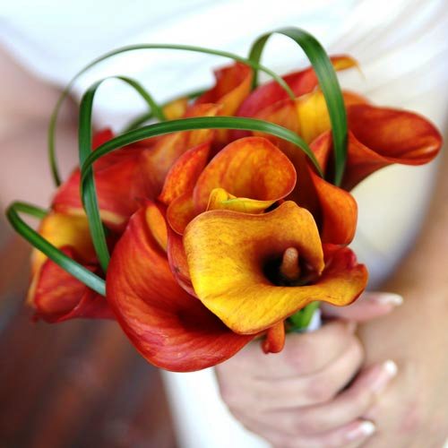 turuncu büyük çiçekli düğün çiçeği